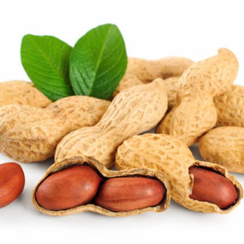 Image Groundnut